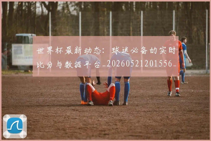 世界杯最新动态:球迷必备的实时比分与数据平台_20260521201556_20260702174149