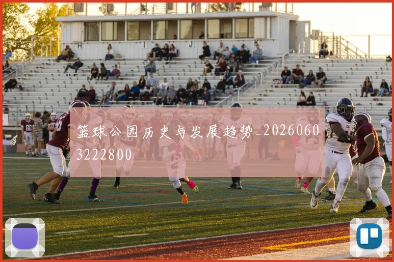 篮球公园历史与发展趋势_20260603222800