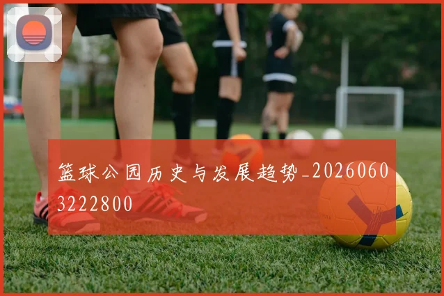 篮球公园历史与发展趋势_20260603222800